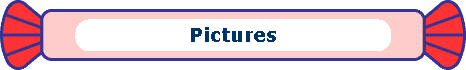  Pictures 